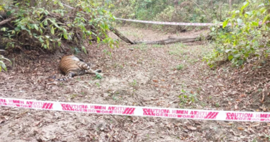 Male tiger found dead in VTR (Valmikinagar Tiger Reserve) in West Champaran