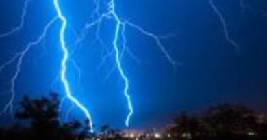 Five persons died due to lightning strikes in Gaya.