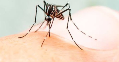 Vector-borne diseases cases rising in Bihar.