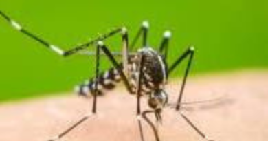 A 19-year-old dengue patient died in Patna.
