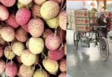Muzaffarpur’s Shahi Litchi sees soaring demand; Indian Railways gears up for hassle-free transport.