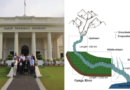 IIT Roorkee researchers reveal groundwater dominates Ganga’s summer flow in plains, not glaciers melt.