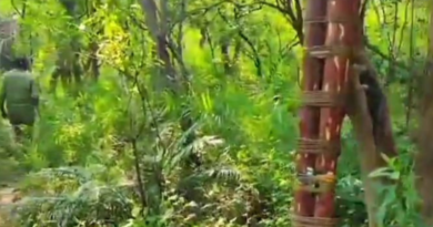 NBA releases Rs 45 lakh to Red Sandalwood Farmers in Andhra Pradesh under the ABS framework.