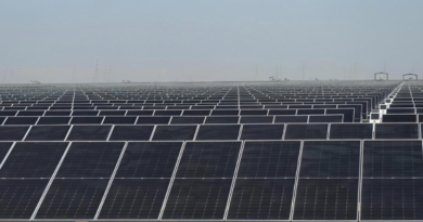 Centre notifies GEI targets for four more sectors under the carbon credit trading scheme.