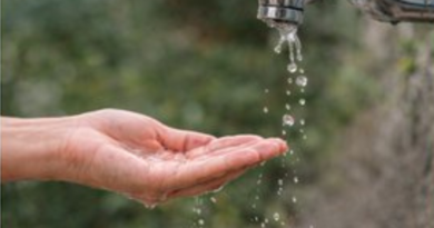 Jal Jeevan Mission covers over 81% Rural Households with tap water connections: Government.
