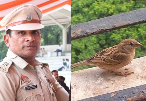 World Sparrow Day: A call to bring back the chirping of our childhood.