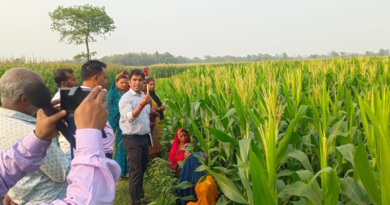 March is an excellent month in Bihar for the cultivation of vegetables and fruits.