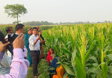 March is an excellent month in Bihar for the cultivation of vegetables and fruits.