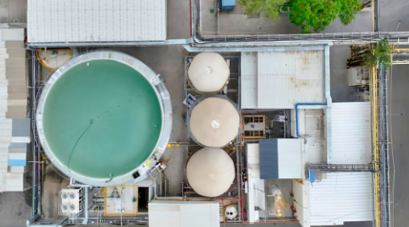 Maruti Suzuki announces new biogas project on World Environment Day.